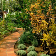 paths and walks for the garden different styles design