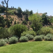 Garden Design Marbella